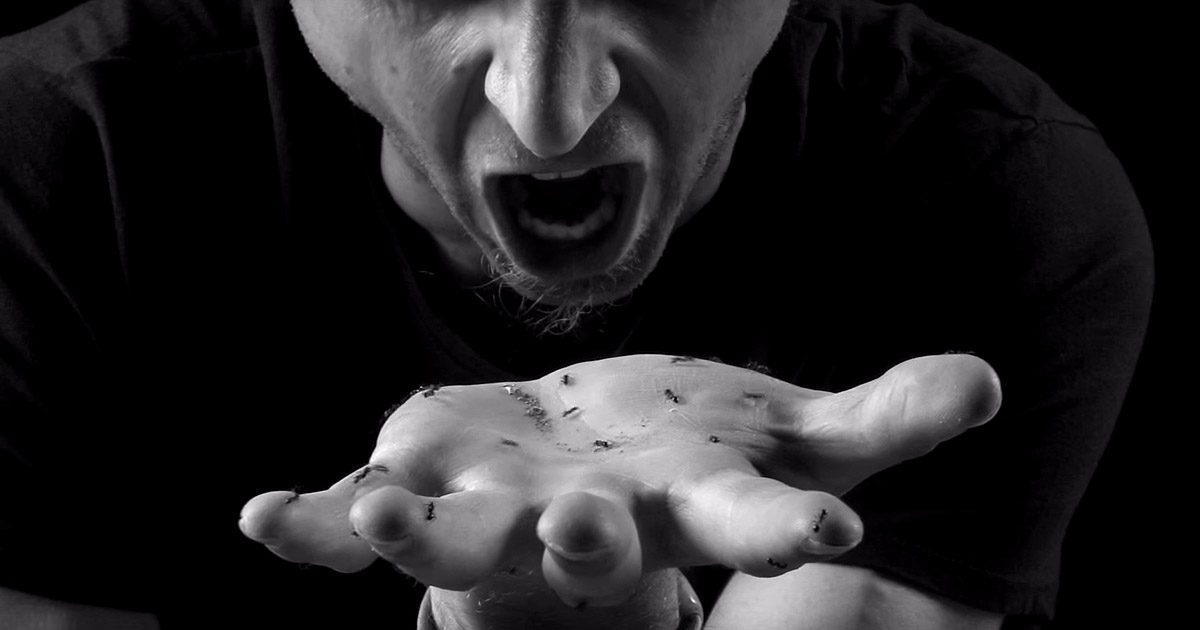 Guilles y el vídeo de 'Spoon Of Ants'