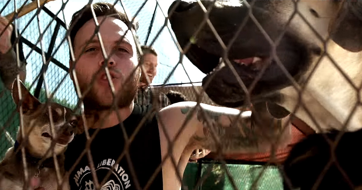 Stick to your Guns y el vídeo de 'Nothing you can do to me'