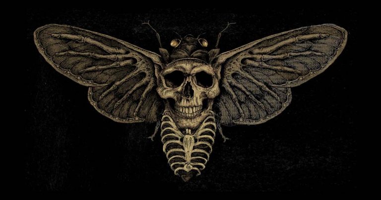 Skandal ofrecen 'Year of the Cicada' como adelanto de su nuevo disco
