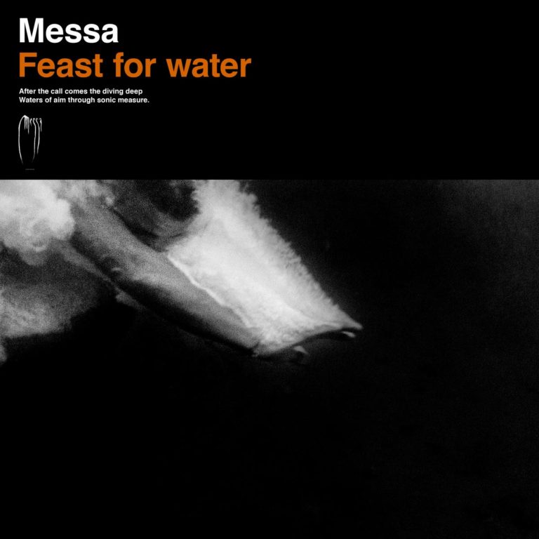 Messa 'Feast for water', crítica y portada